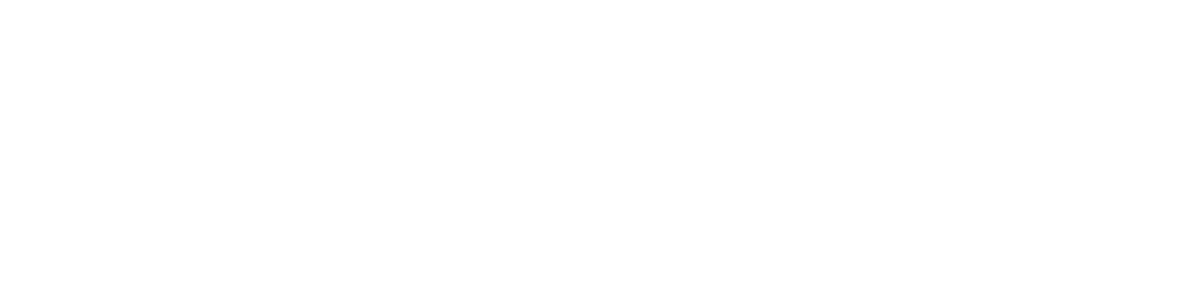 brain-networks_logo