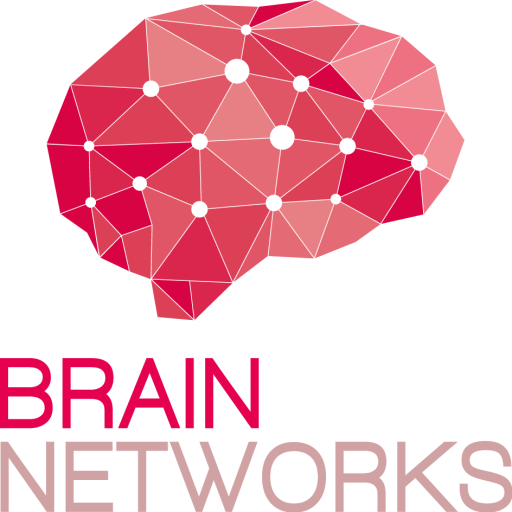 logo Brain Networks